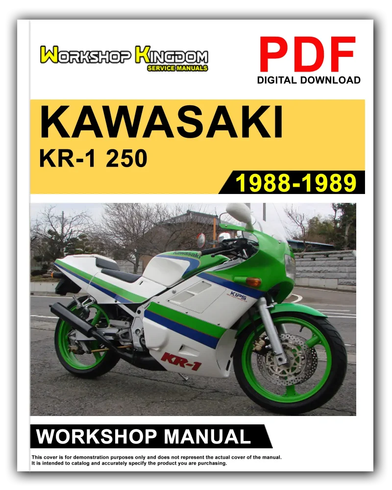 KAWASAKI KR-1 250 Workshop Manual