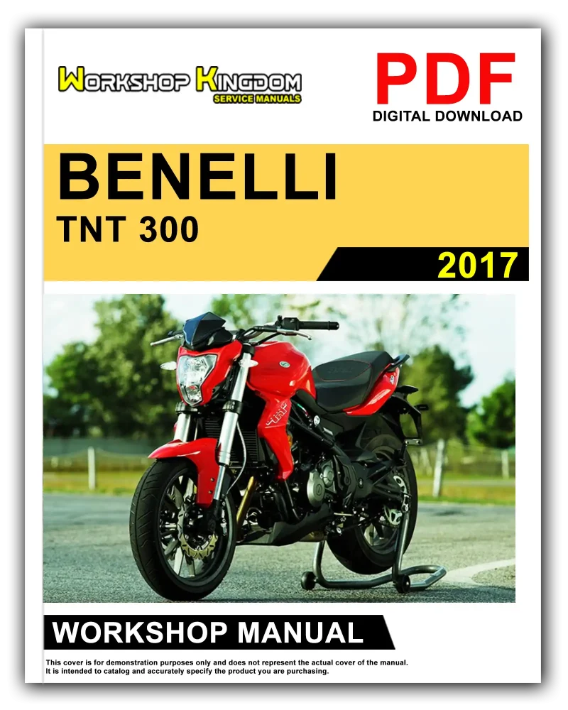 BENELLI TNT 300 Workshop Manual