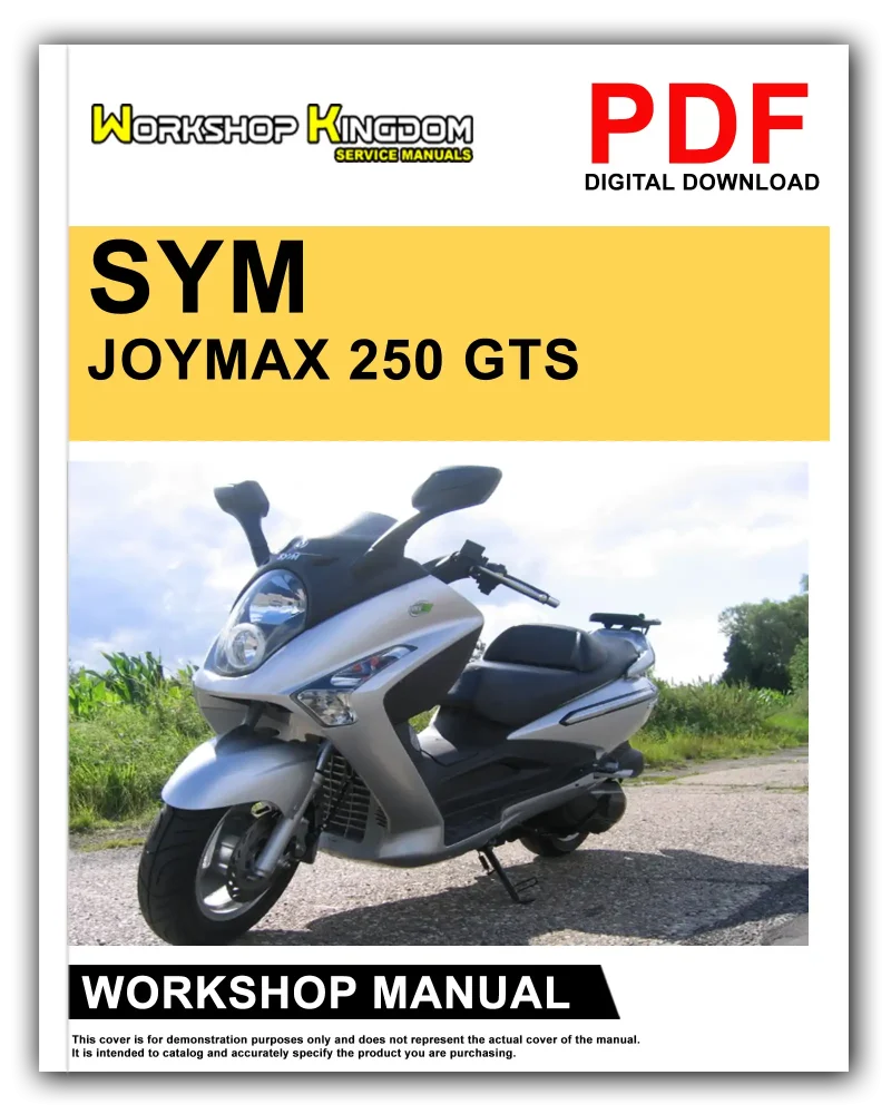 SYM JOYMAX 250 GTS Workshop Manual